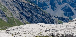 Camp d'été Lapi di Bou 2017 - Photos du Tsanfleuron