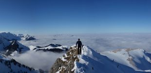 Ochse depuis Schwefelberg