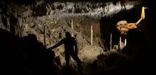 Rare apparition de Trapanellus bilali