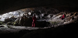 Cache-cache-poursuite à la Diau