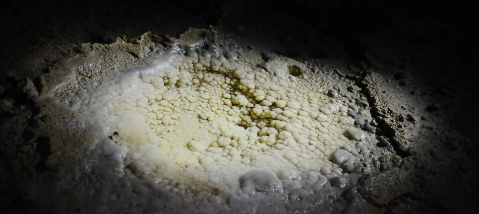 Archive du Spéléo Club de la Vallée de Joux