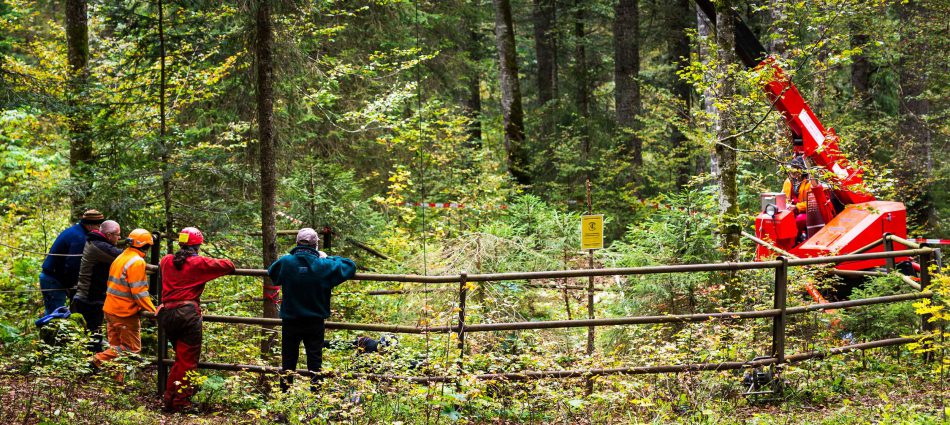 Archive du Spéléo Club de la Vallée de Joux