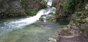 Les sources de la Venoge 2011-2012